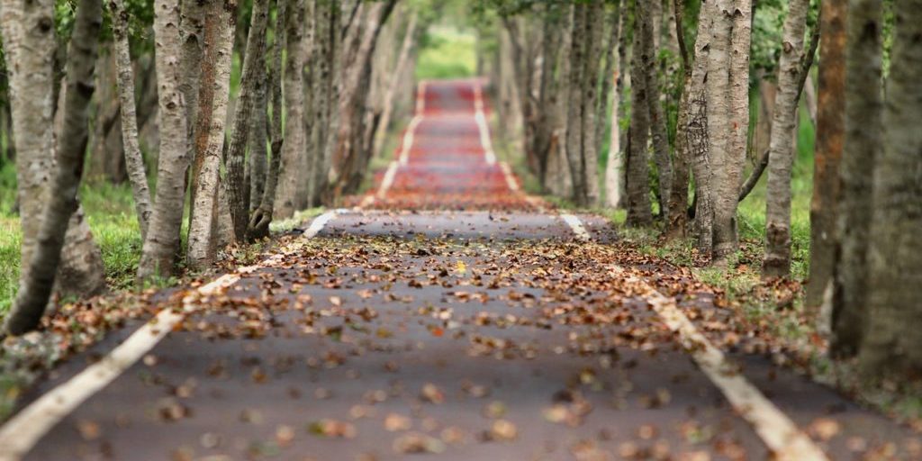 fælleskabet og sammenholdet