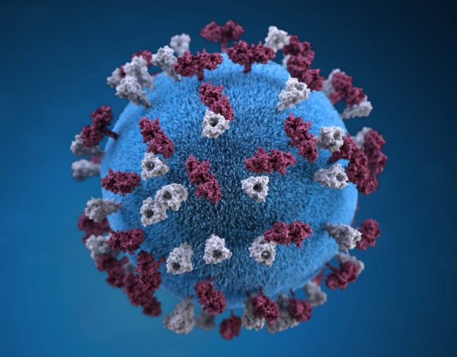 Virus corona covid-19 MinForening Danmark Forholdsregler til corona